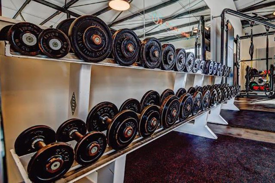 Bild 1 von Fit Hoch Drei Partnergalerie