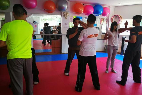 Imagen 1 de la galería del partner Terrence Yip Wing Chun Kung Fu CDMX
