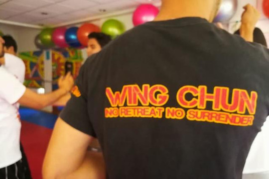 Imagen 3 de la galería del partner Terrence Yip Wing Chun Kung Fu CDMX