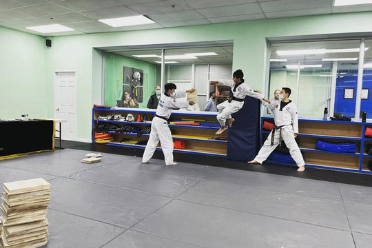 Image 1 from Tiger J Taekwondo partner gallery