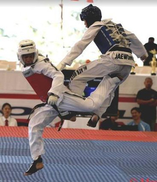 Image 2 from Lima Taekwondo & Brazilian Jiu Jitsu Academy - Harbor City partner gallery