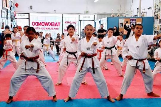 Image 3 from Lima Taekwondo & Brazilian Jiu Jitsu Academy - Culver City partner gallery