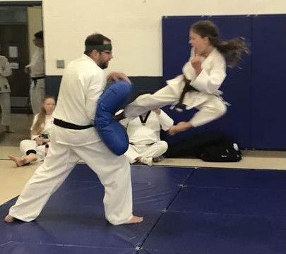 Image 3 from Kim's Tae Kwon Do partner gallery