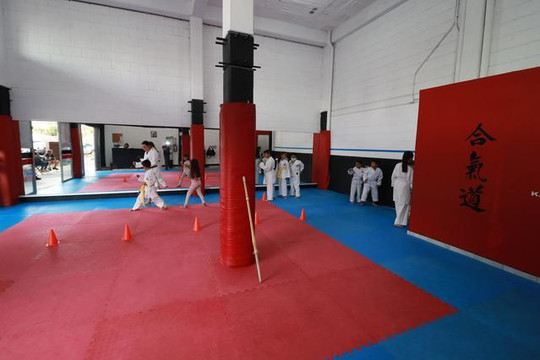 Imagen 2 de la galería del partner GOJU-KAN OTERO
