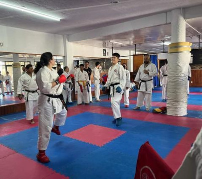 Imagen 2 de la galería del partner GOJU-KAN SAN AGUSTIN