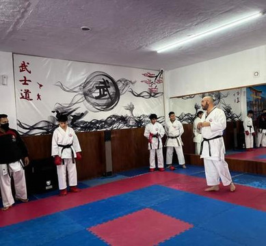 Imagen 3 de la galería del partner GOJU-KAN SAN AGUSTIN