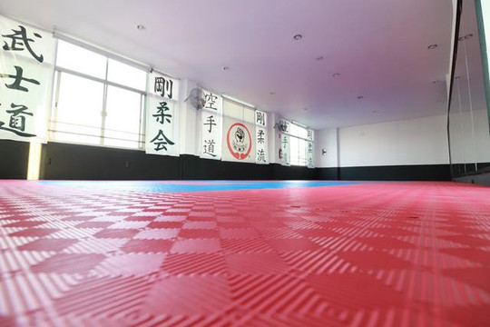 Imagen 2 de la galería del partner GOJU-KAN TESISTAN