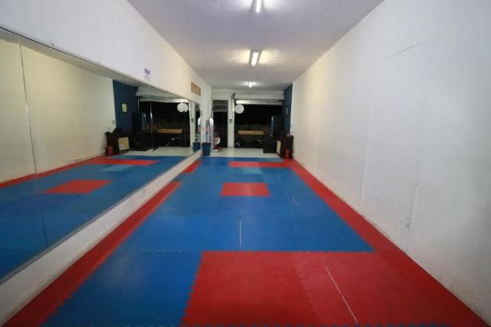 Imagen 1 de la galería del partner GOJU-KAN BRISEÑO