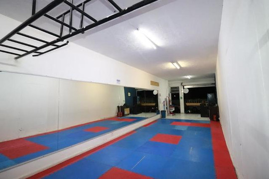 Imagen 2 de la galería del partner GOJU-KAN BRISEÑO