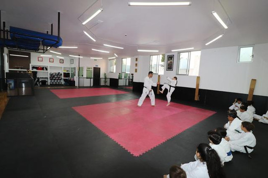 Imagen 3 de la galería del partner GOJU-KAN VALLE REAL