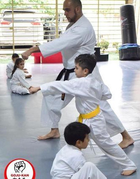 Imagen 2 de la galería del partner GOJU-KAN CASA FUERTE