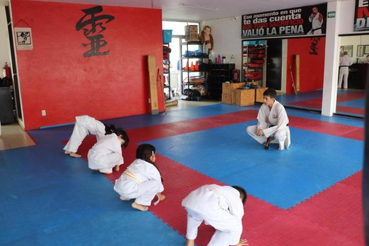 Imagen 1 de la galería del partner GOJU-KAN LAS CAÑADAS