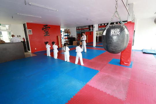 Imagen 2 de la galería del partner GOJU-KAN LAS CAÑADAS