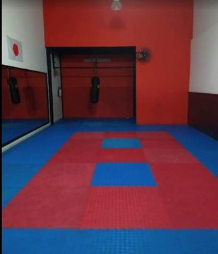 Imagen 2 de la galería del partner GOJU-KAN NUEVA GALICIA