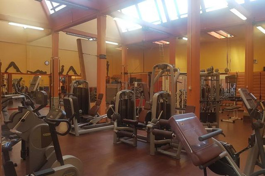 Immagine 1 dalla galleria del partner GYMNASIUM ACADEMY SSD