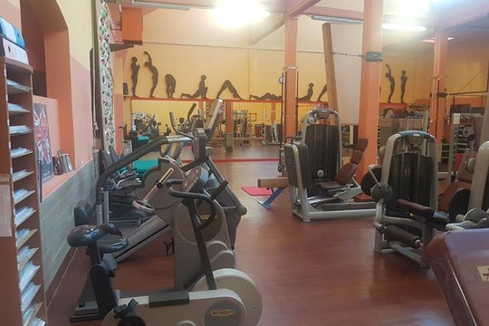 Immagine 2 dalla galleria del partner GYMNASIUM ACADEMY SSD