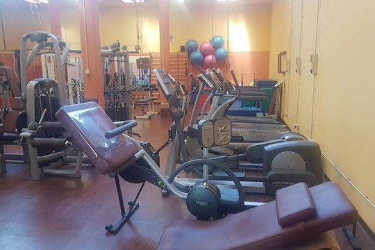 Immagine 3 dalla galleria del partner GYMNASIUM ACADEMY SSD