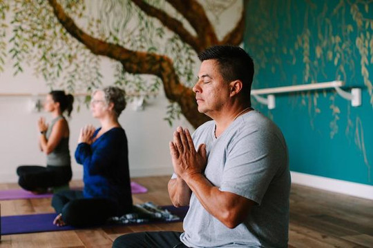 Image 1 from Willow Soul Yoga- St. Michael partner gallery