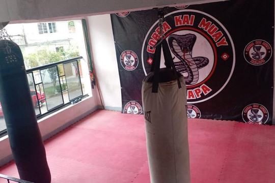 Imagen 3 de la galería del partner Cobra Kai Muay Xalapa