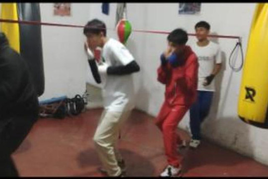 Imagen 1 de la galería del partner Grillo Boxing GYM