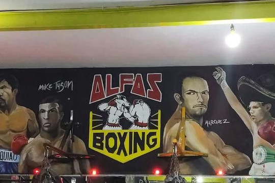 Imagen 1 de la galería del partner Alfas boxing
