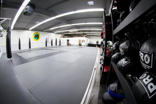 Image 3 from Paragon Academy Santa Barbara partner gallery