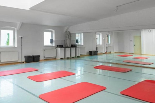 Bild 2 von Sportzirkel Hamburg Altona Partnergalerie