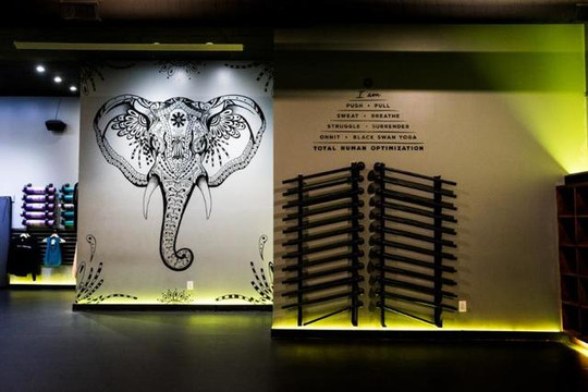 Image 2 from Black Swan Yoga - Anderson partner gallery