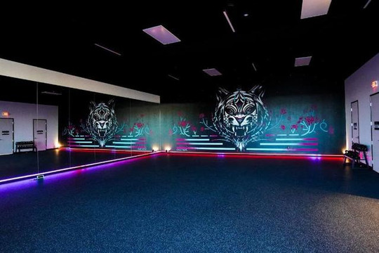 Image 1 from Black Swan Yoga - Round Rock partner gallery