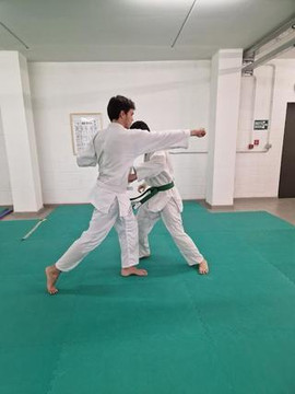 Immagine 1 dalla galleria del partner Palestra di Ju Jitsu Sakura Bologna