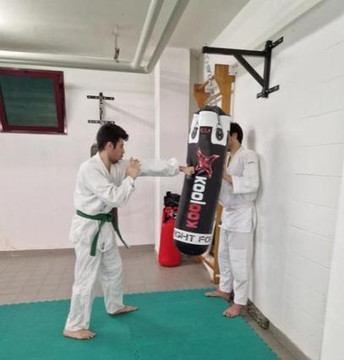 Immagine 3 dalla galleria del partner Palestra di Ju Jitsu Sakura Bologna