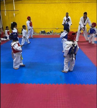 Imagen 1 de la galería del partner TAEKWONDO SAK XIKIN