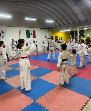 Imagen 2 de la galería del partner TAEKWONDO SAK XIKIN