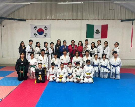 Imagen 3 de la galería del partner TAEKWONDO SAK XIKIN