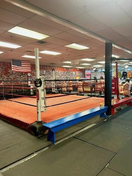 Image 2 from Brunswick Boxing Stars partner gallery