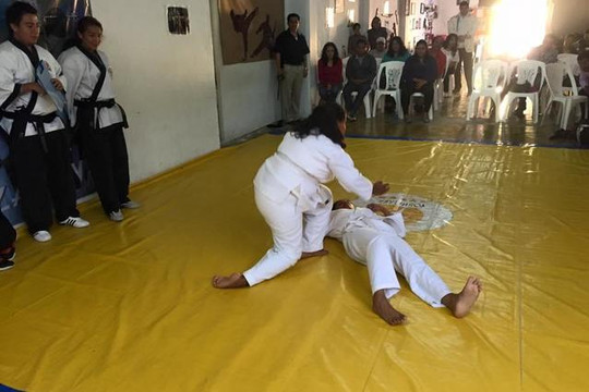 Imagen 2 de la galería del partner Yoshitaka Karate do