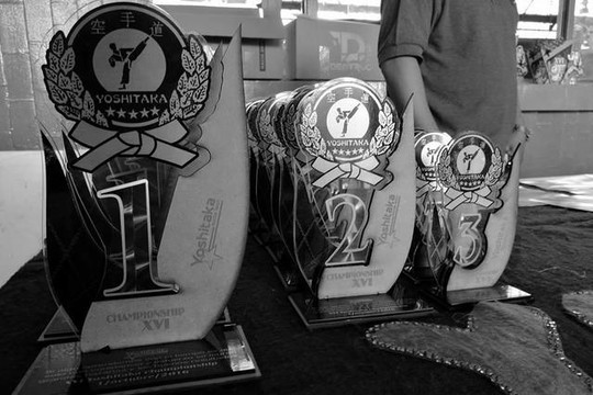 Imagen 3 de la galería del partner Yoshitaka Karate do