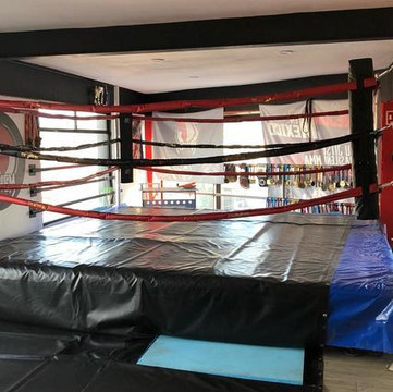 Imagen 3 de la galería del partner Mayhem Martial Arts