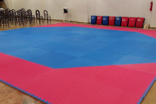 Imagen 1 de la galería del partner NUEVA ERA TAEKWONDO