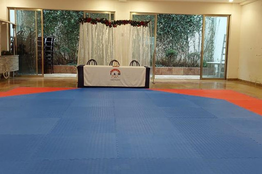Imagen 2 de la galería del partner NUEVA ERA TAEKWONDO