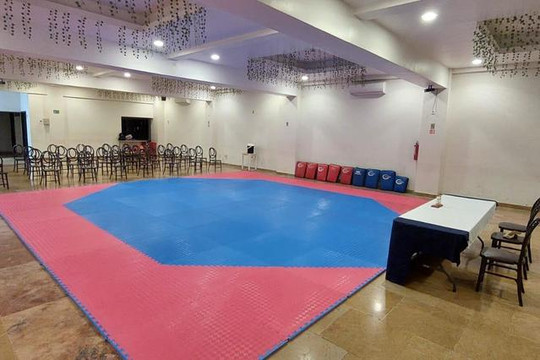 Imagen 3 de la galería del partner NUEVA ERA TAEKWONDO