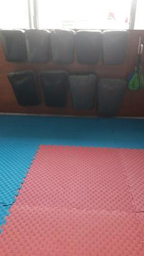 Imagen 1 de la galería del partner Supra tkd utam