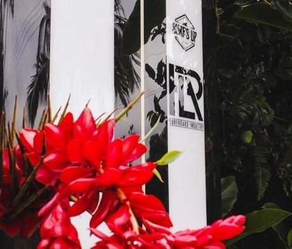 Imagem 2 da galeria do parceiro Surf Up Club - Hostel Quintal Guest