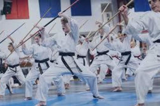 Image 3 from Omega Martial Arts partner gallery