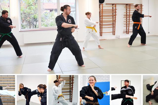 Bild 1 von Lion Kai Karate Partnergalerie