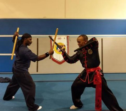 Image 1 from Northern Praying Mantis Kung Fu partner gallery