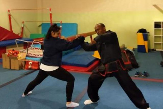 Image 3 from Northern Praying Mantis Kung Fu partner gallery