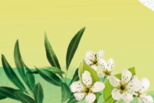 Bild 1 von Praxis für Osteopathie,Yoga und Naturhei Partnergalerie