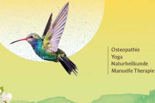 Bild 3 von Praxis für Osteopathie,Yoga und Naturhei Partnergalerie
