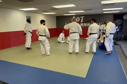 Image 1 from Art of Takedowns - Judo & Grappling Academy partner gallery